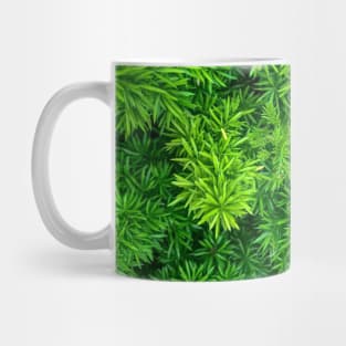 Foxtail fern (Sprenger's asparagus) green plant texture background Mug